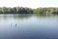 Copyright: Peter Burggraf 2019