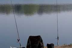 Copyright: Peter Burggraf 2019