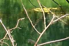 Copyright: Harald Wolff 2019