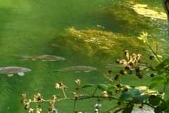 Copyright: Harald Wolff 2019